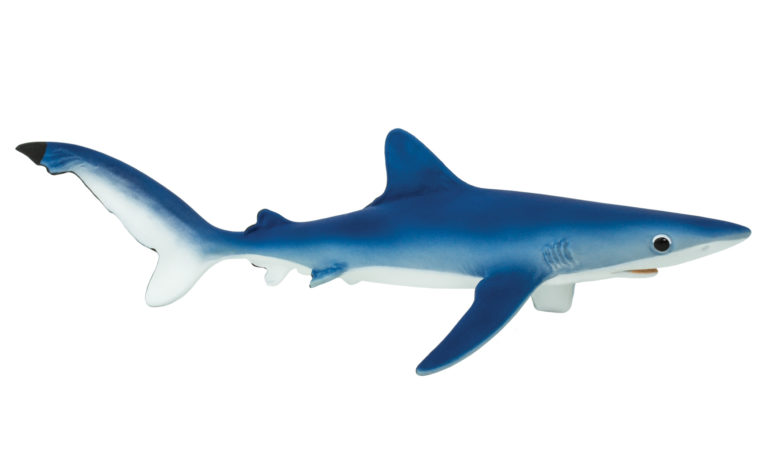 submarine deep blue shark