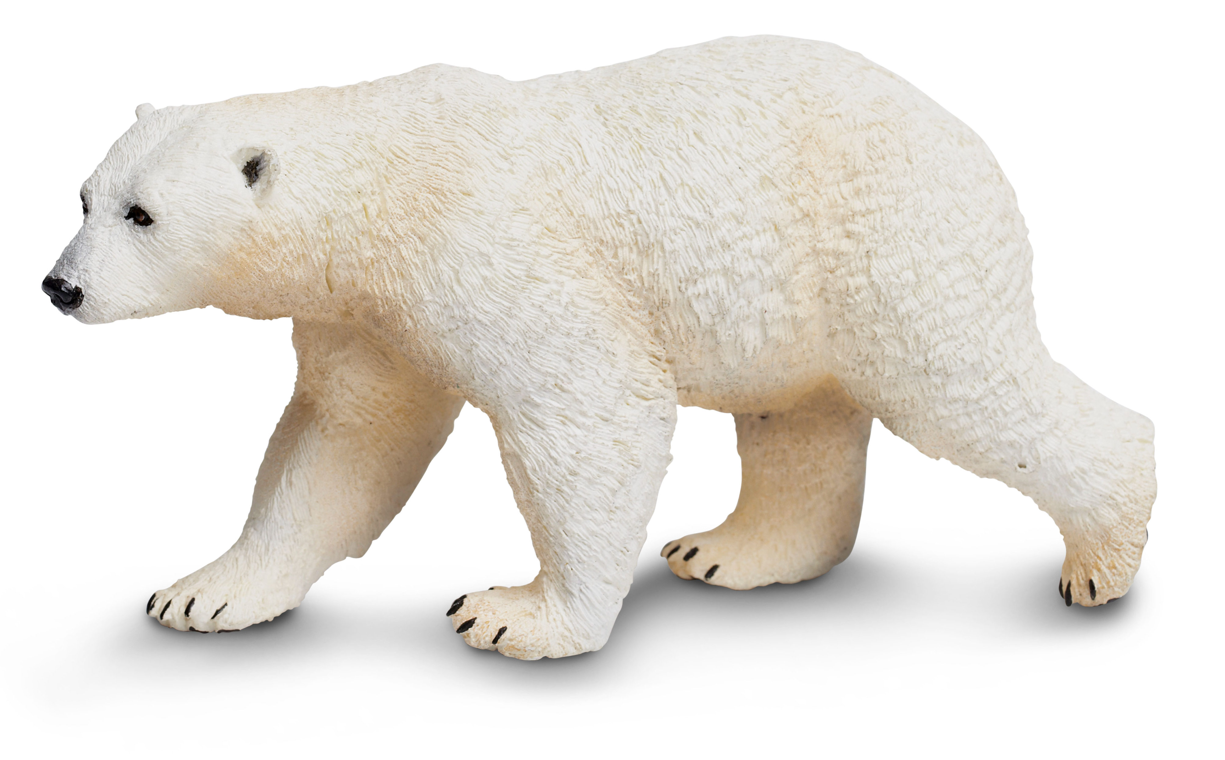 Polar Bear model - What If Scientific - Leave Only Bubbles, LLC