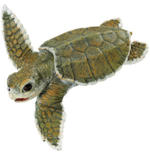 Kemp's Ridley Sea Turtle baby model, Leave Only Bubbles