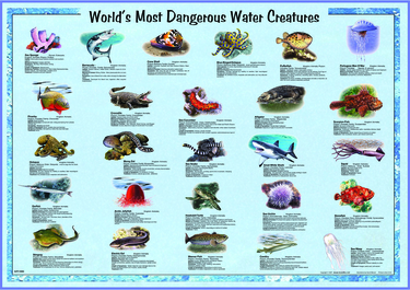 World's Most Dangerous Water Creatures poster, 26.5" x 38"